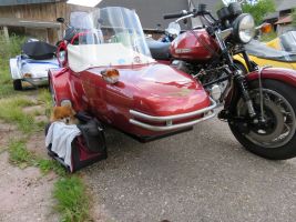 HMO Treffen 2018 Vöhrenbach